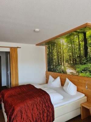 Schlafen unter Bäumen