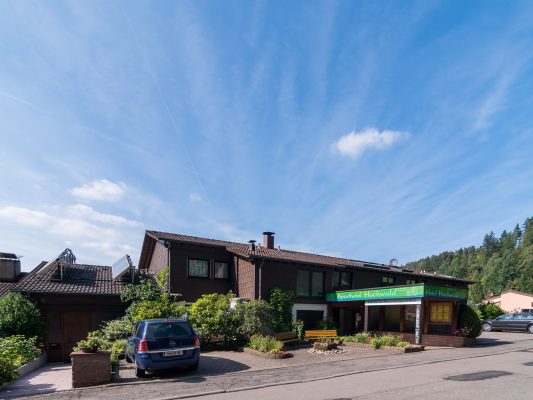 Ansicht Aparthotel Hochwald Bergseite, wandern